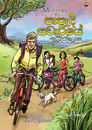 පාපැදි සවාරියේ අබිරහස