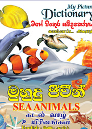 මුහුදු ජීවීන් - මගේ පින්තූර ශබ්දකෝෂය