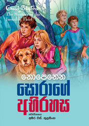 නොපෙනෙන සොරාගේ අභිරහස